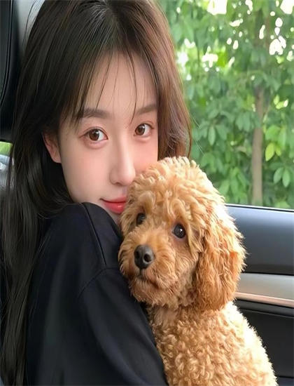 邓超孙俪结婚视频-英雄联盟jy解说视频